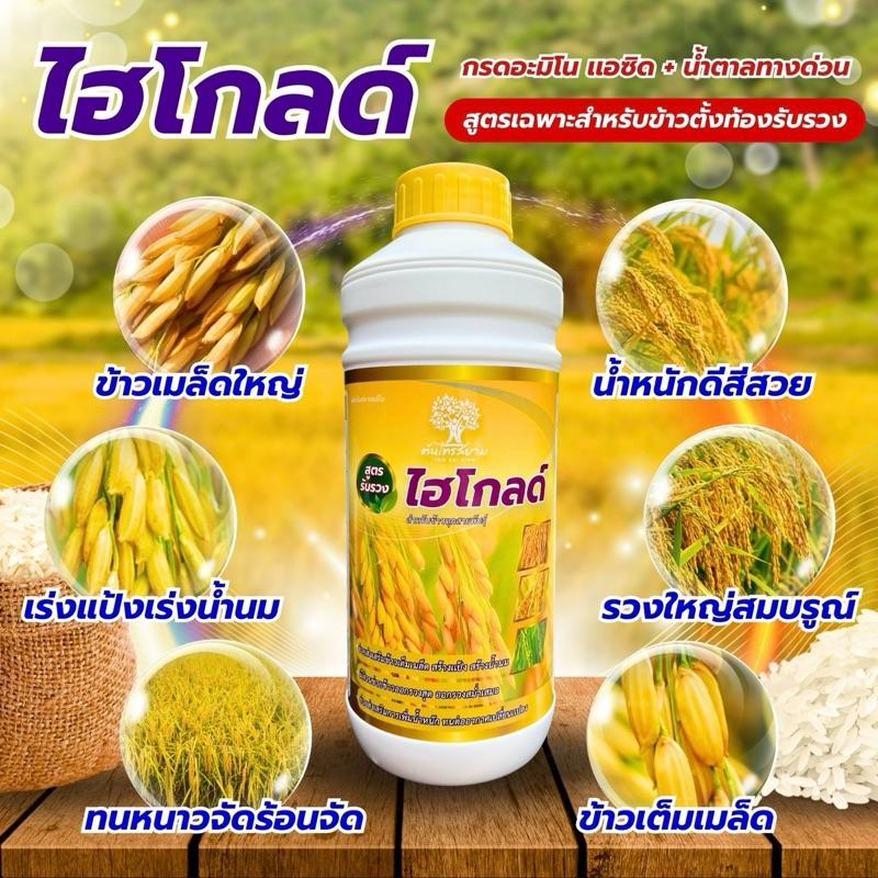ไฮโกลด์ ข้าวตั้งท้องรับรวงสารสกัดเข้มข้น ขนาด 1 ลิตร ข้าวเมล็ด