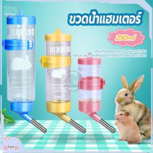 ขวดน้ำแฮมเตอร์ 250ml ขวดน้ำหนู ขวดน้ําสัตว์ ขวดน้ำชูก้า ขวดน้ำกระต่าย ขวดน้ำสุนัข แบบติดกรง ที่ให้น้ำอัตโนมัติ ที่ให้น้ำกระต่าย หมา แมว